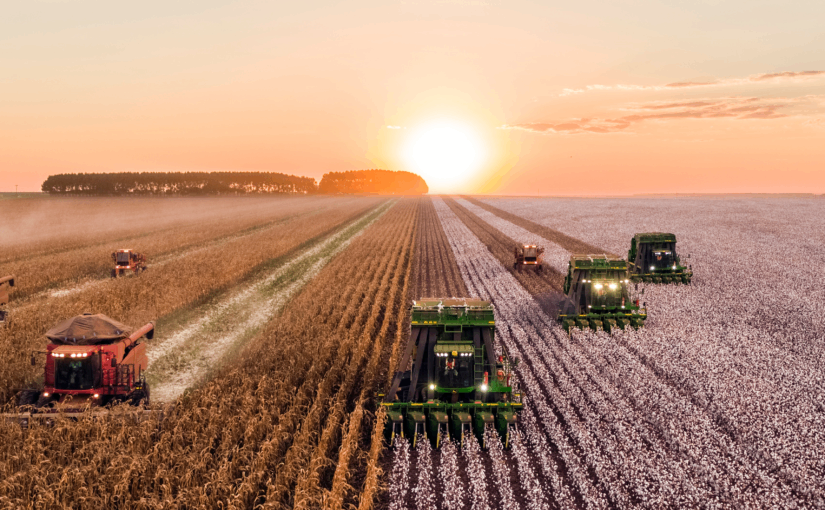 Cowsheds, haylofts and pigpens in the cloud. How IoT helps our farmers