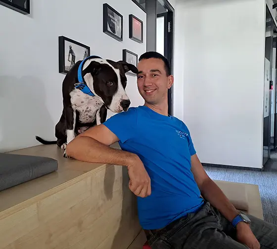 Animals in the workplace? Definitely yes | Soitron EN